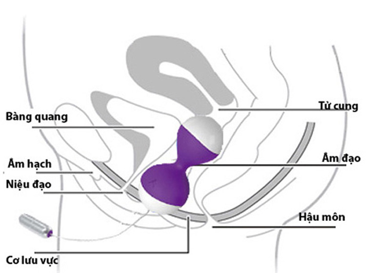 máy tập cơ âm đạo kegel Nalone Miu Miu