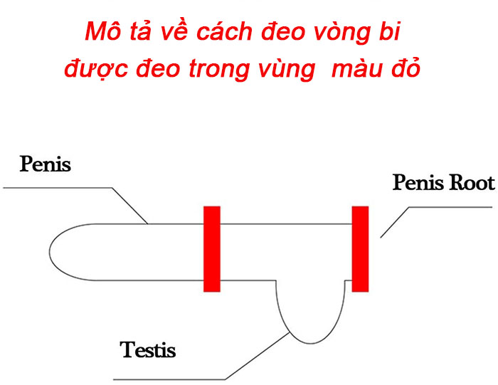 Vòng bi đeo dương vật tăng khoái cảm