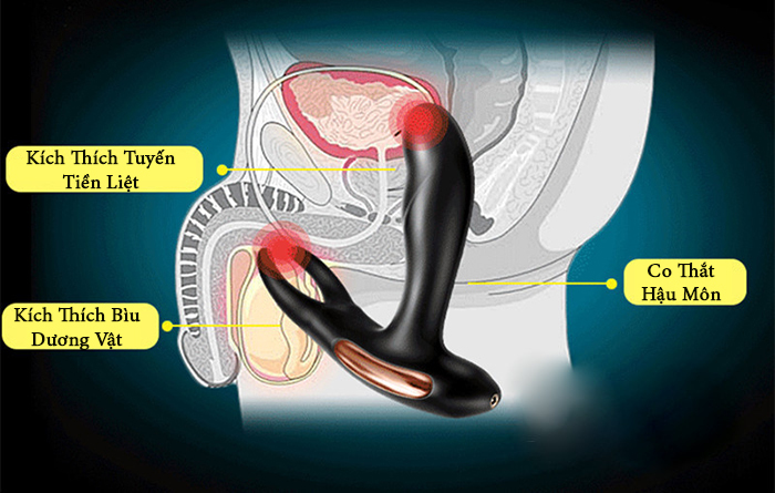 Máy rung hậu môn sưởi ấm điều khiển từ xa