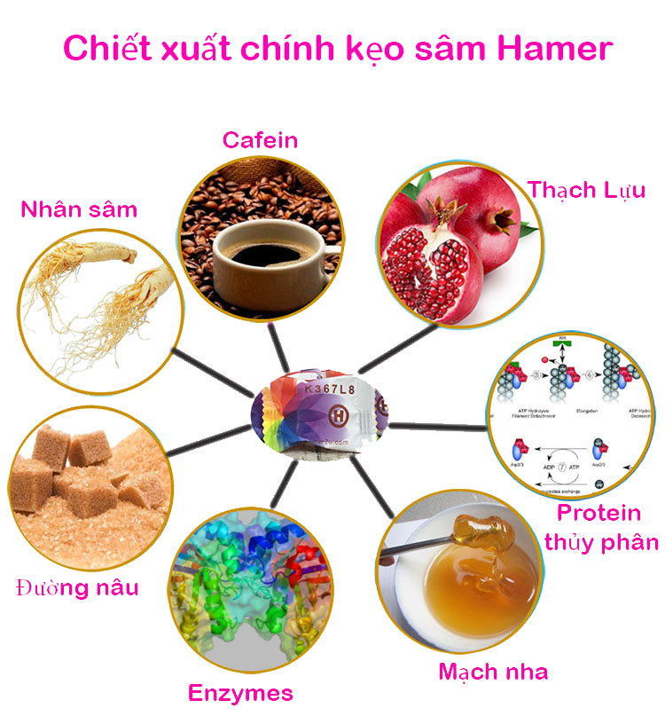 Kẹo sâm Hamer Malaysia